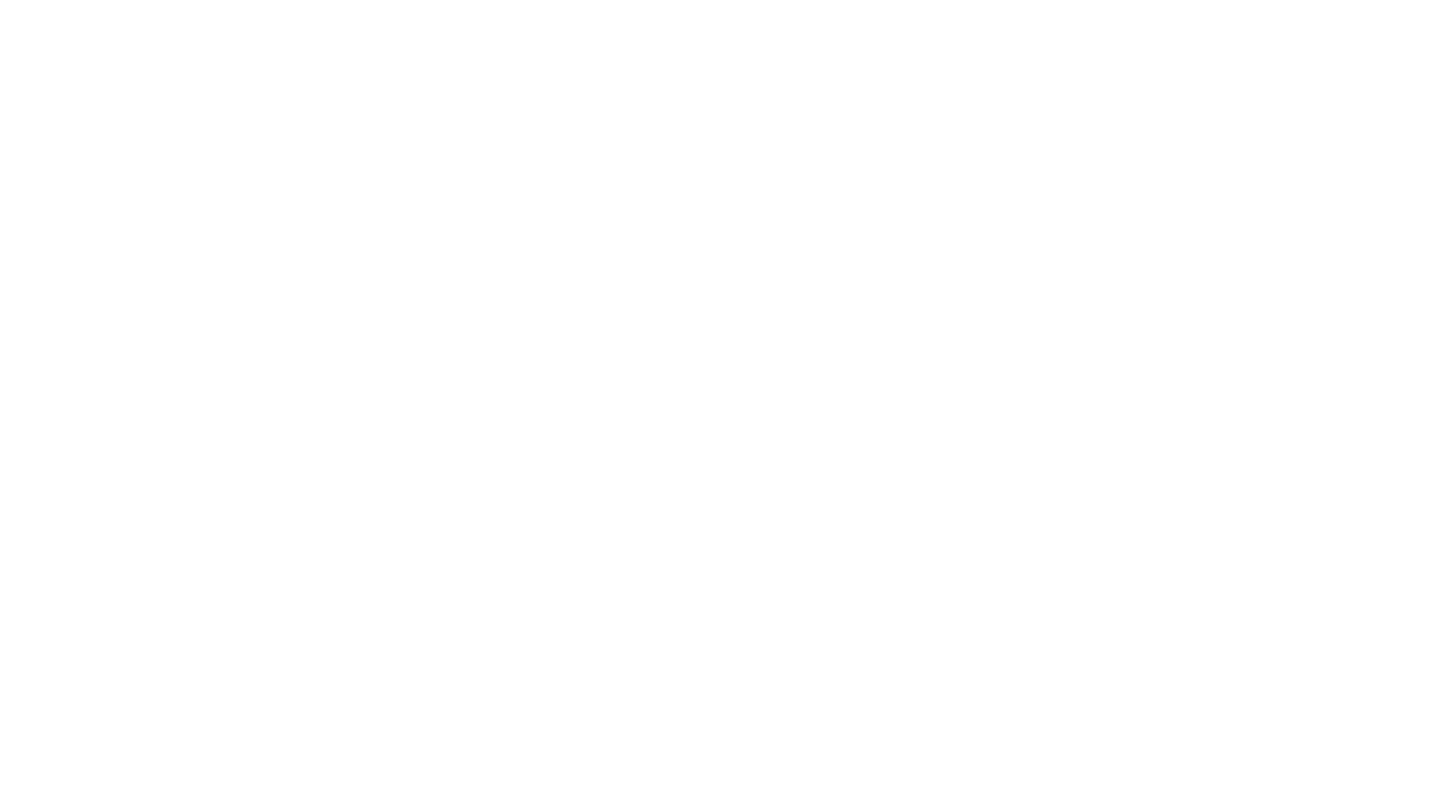 Bad Wolf Photography